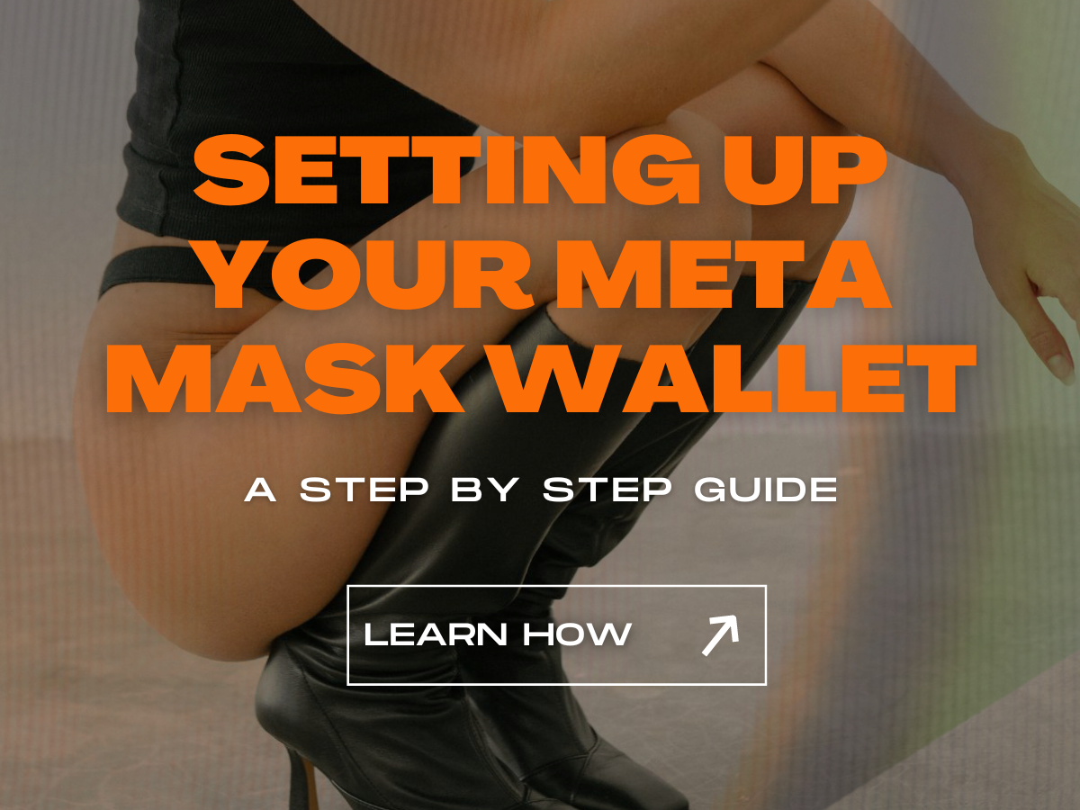 How to setup your MetaMask Wallet